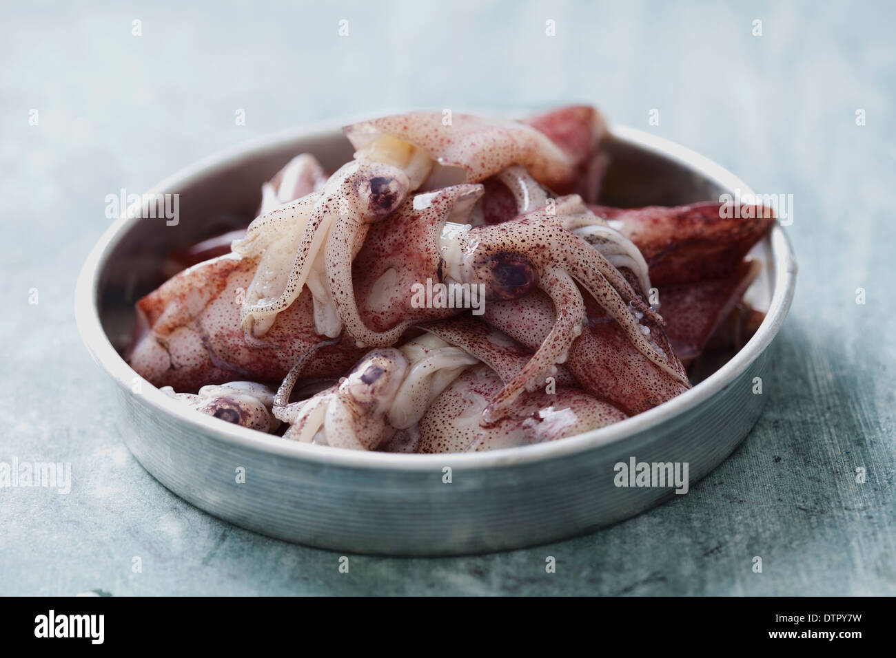 fresh raw red calamari Stock Photo