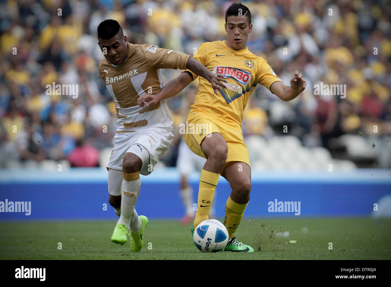 Mexico City, Mexico. 22nd Feb, 2014. Raul Jimenez (R) of America vies for  the ball with Daniel Luduena of Pumas' UNAM during their match of the MX  League Closing Tournament at Azteca