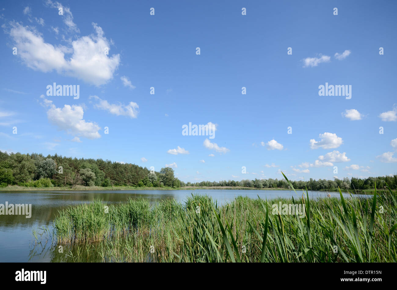 Lake shore under blue cloudy sky Stock Photo - Alamy