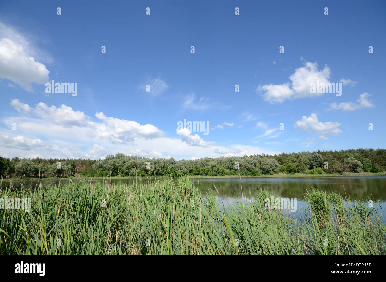 Lake shore under blue cloudy sky Stock Photo - Alamy