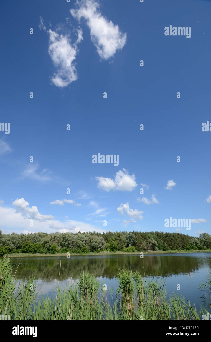 Lake shore under blue cloudy sky Stock Photo - Alamy