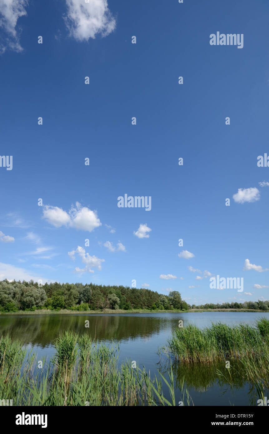 Lake shore under blue cloudy sky Stock Photo - Alamy