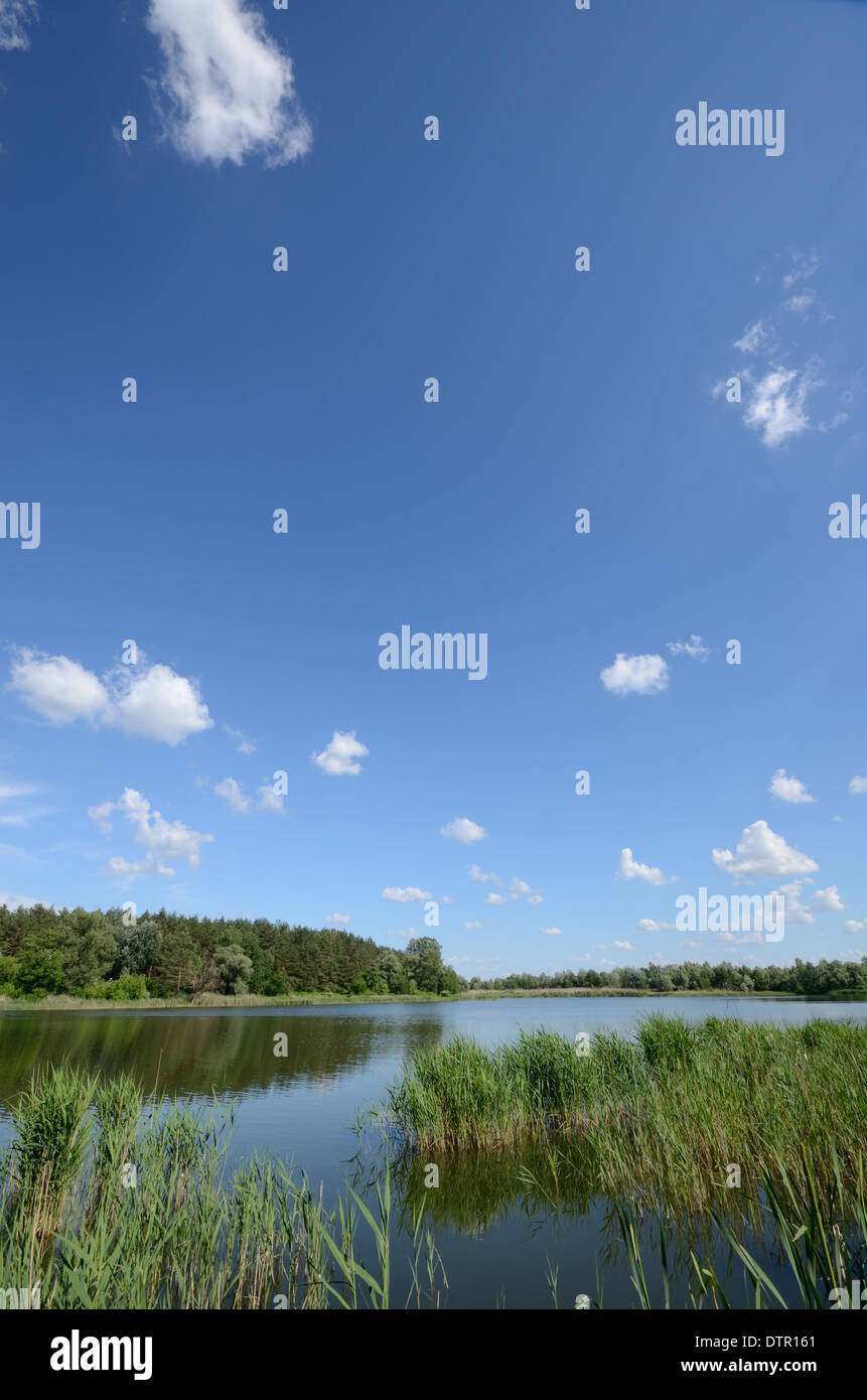 Lake shore under blue cloudy sky Stock Photo - Alamy