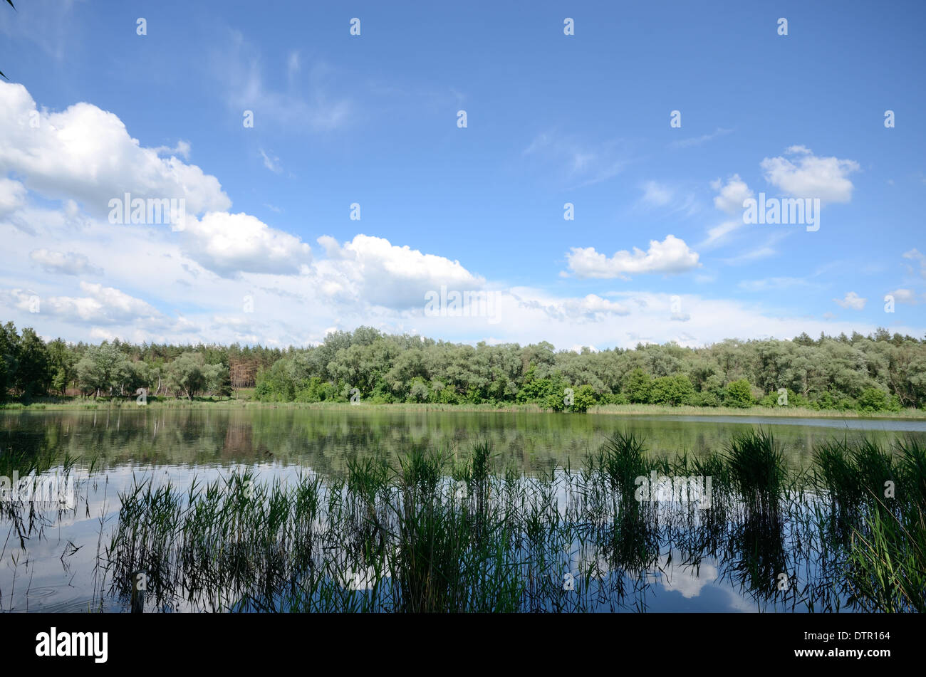 Lake shore under blue cloudy sky Stock Photo - Alamy