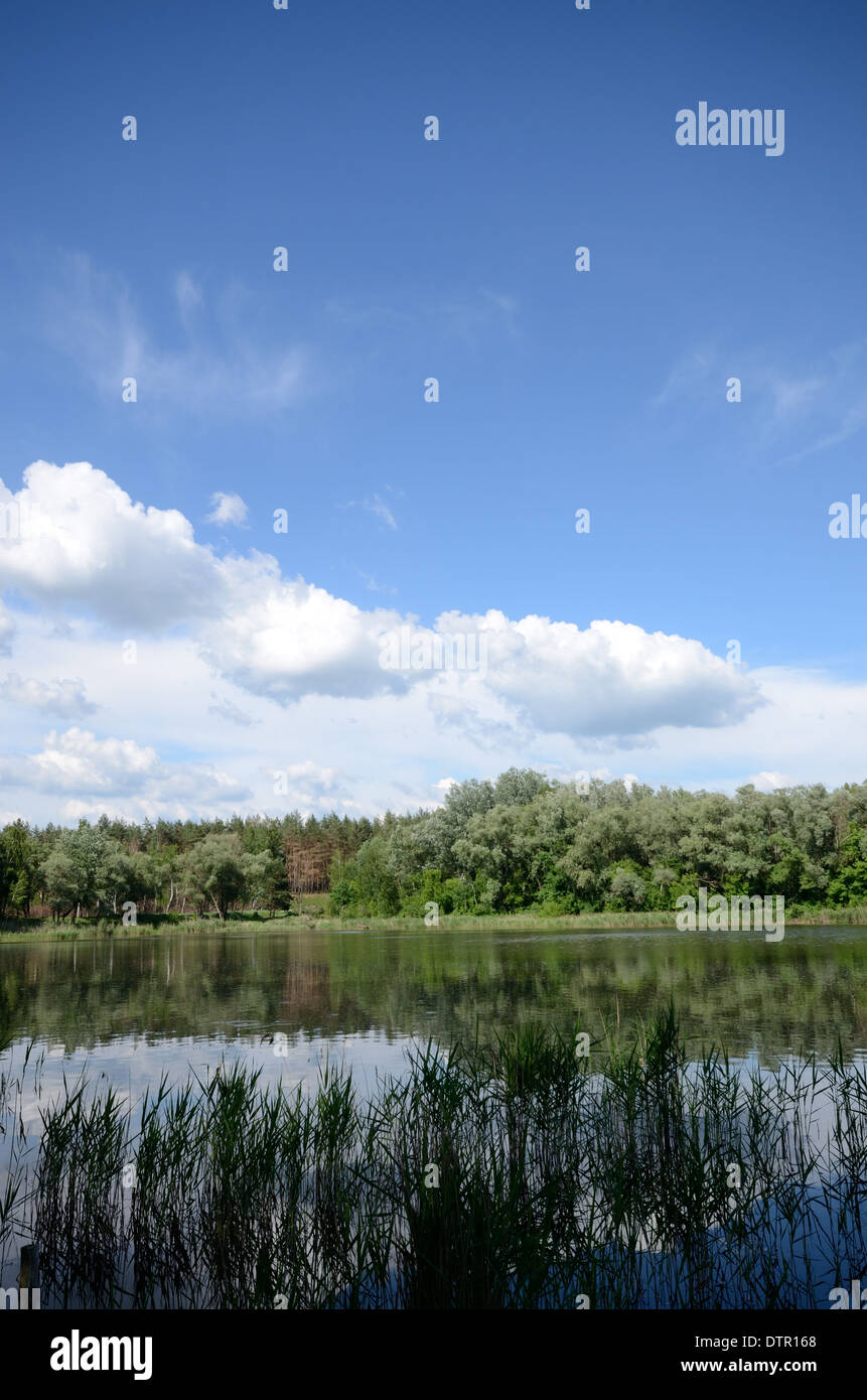 Lake shore under blue cloudy sky Stock Photo - Alamy