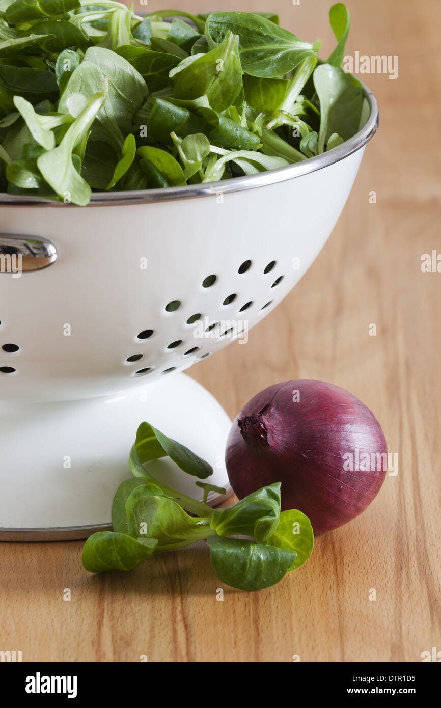 Field salad in a white enamel colander and a red onion bulb on the kitchen table Stock Photo