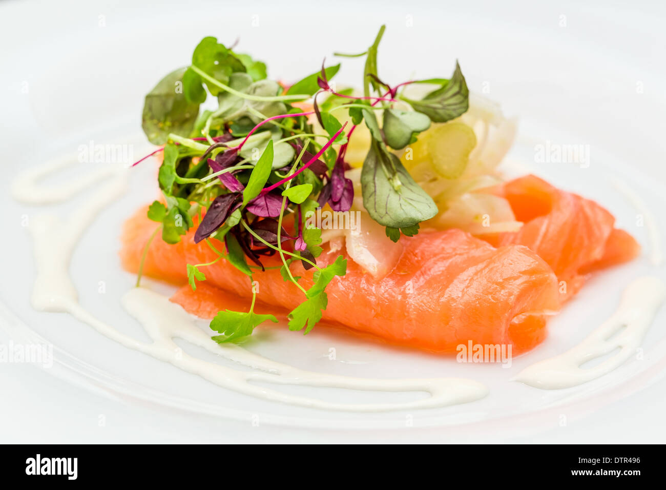 Salmon fish isolated on white background Stock Photo - Alamy
