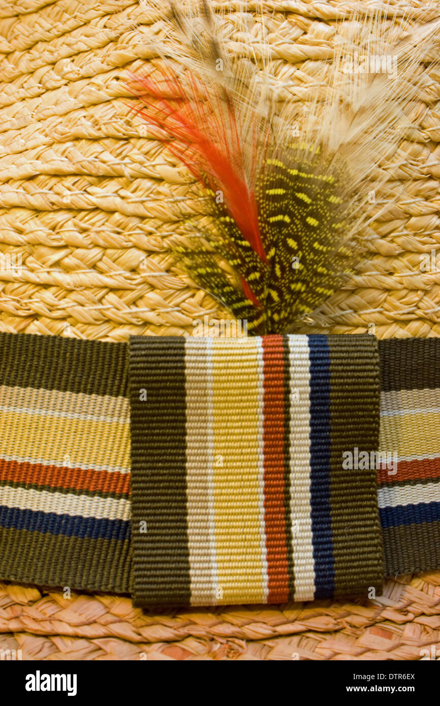 Feather in your cap hi-res stock photography and images - Alamy