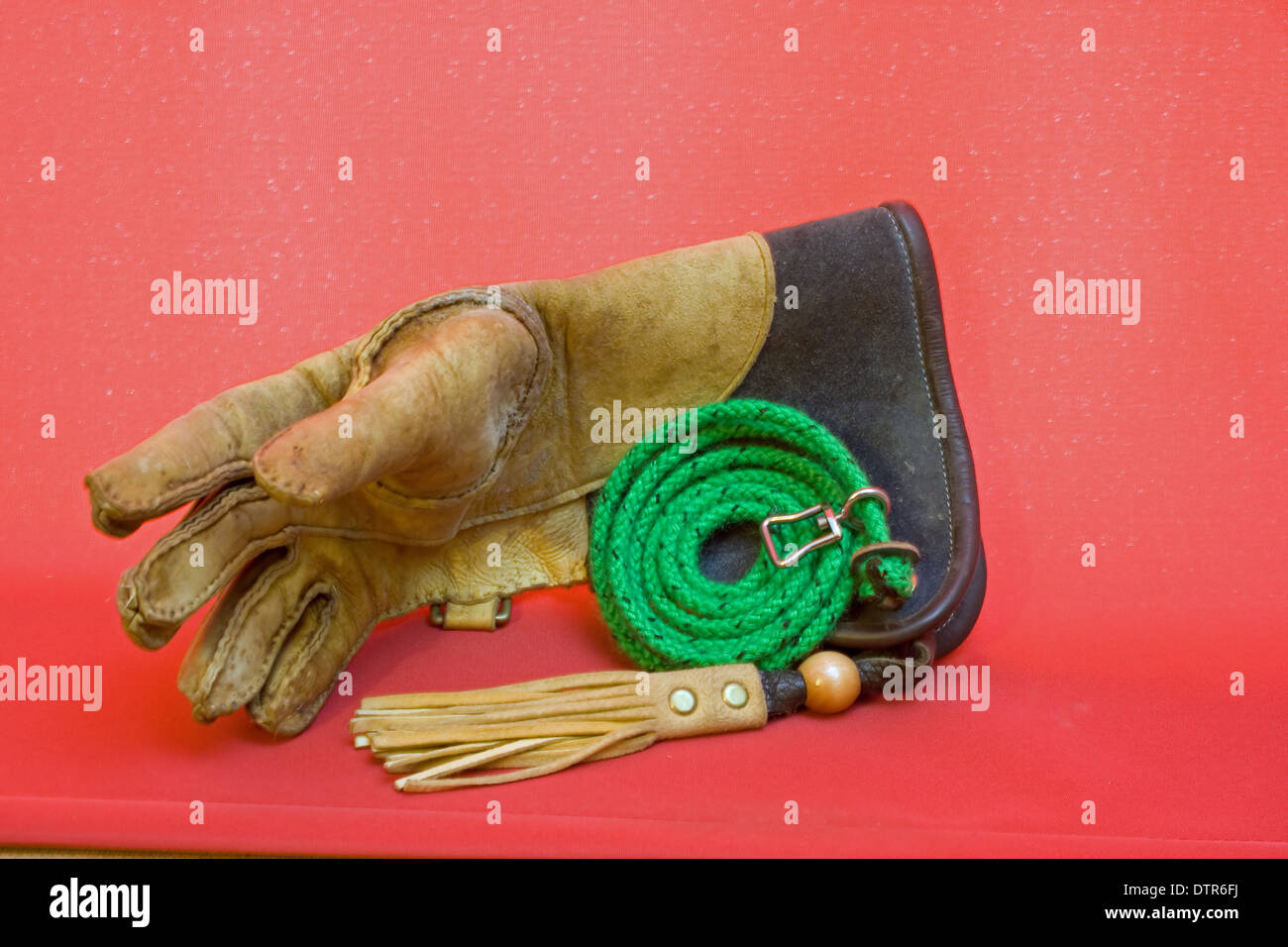 Falconry glove with tassel,leash and swivel. Stock Photo