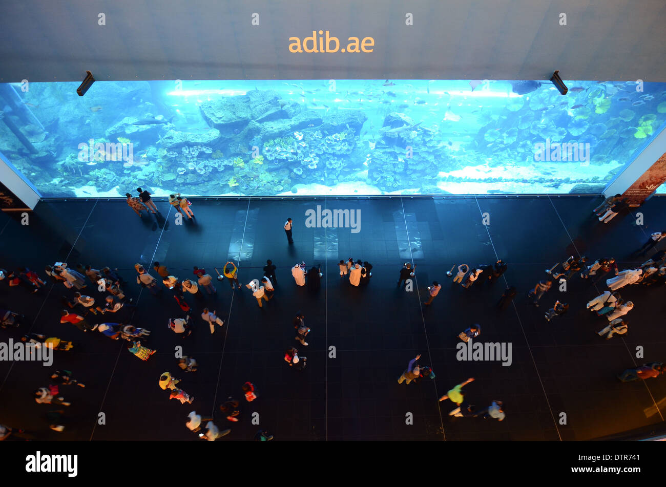 Dubai Aquarium in Dubai Mall, United Arab Emirates Stock Photo Alamy