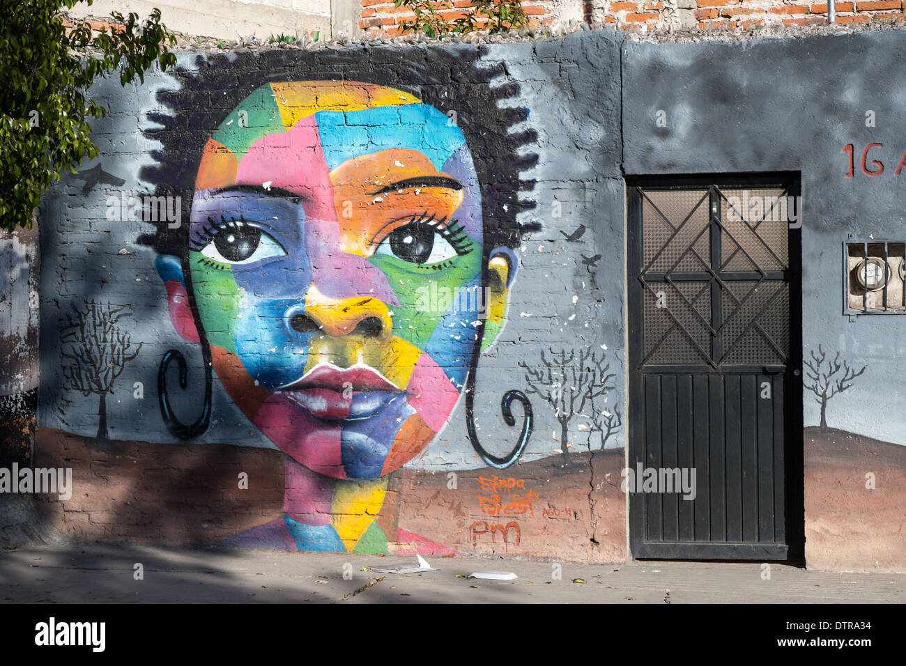 Street art depicting a multi colorful woman along a street in Santiago ...
