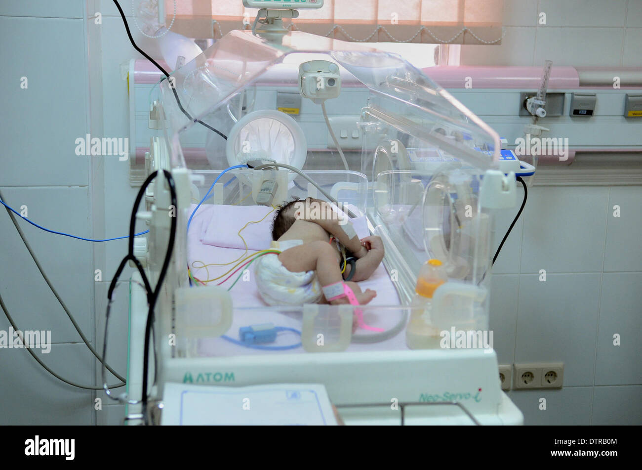 Стоимость Пересадки Матки