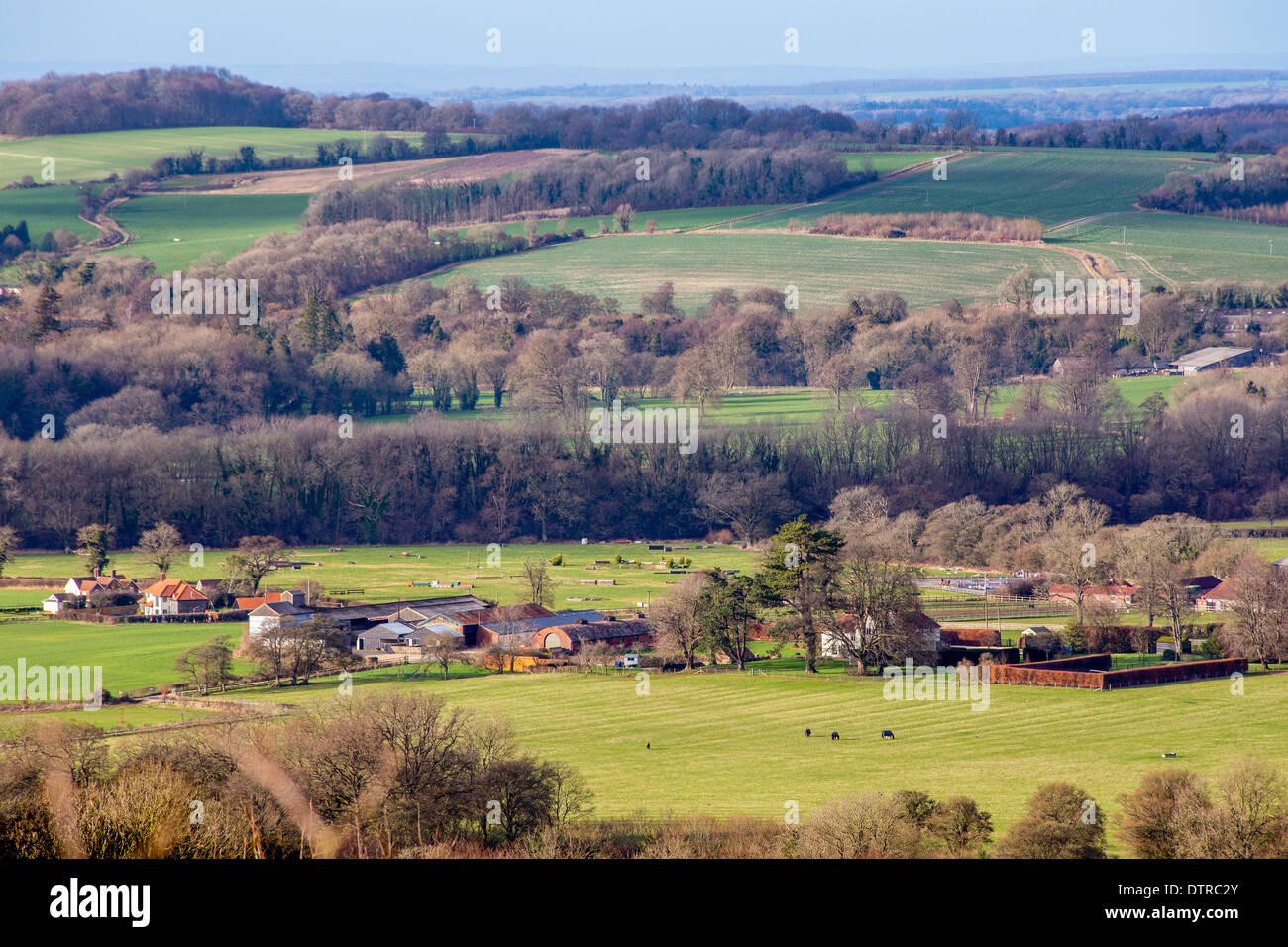 Farm in the South Downs National Park, Meon Valley, Hampshire Stock Photo