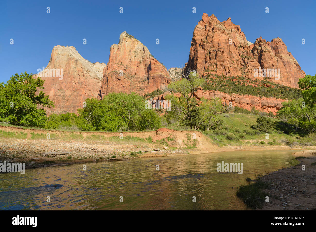 Court of the Patriarchs, Zion National Park, Utah, USA Stock Photo
