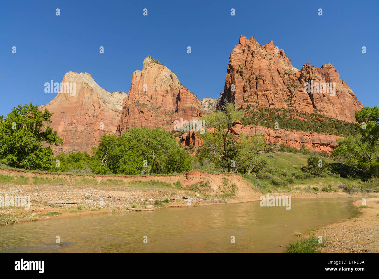 Court of the Patriarchs, Zion National Park, Utah, USA Stock Photo