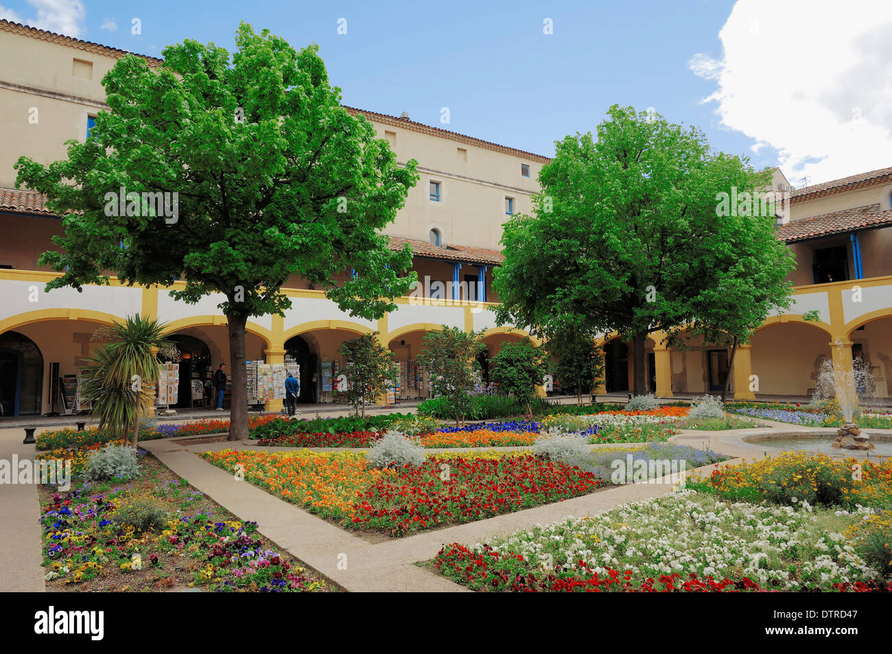 Garden and fountain, centre of culture Espace Van Gogh, former hospital, Arles, Bouches-du-Rhone, Provence-Alpes-Cote d'Azur Stock Photo
