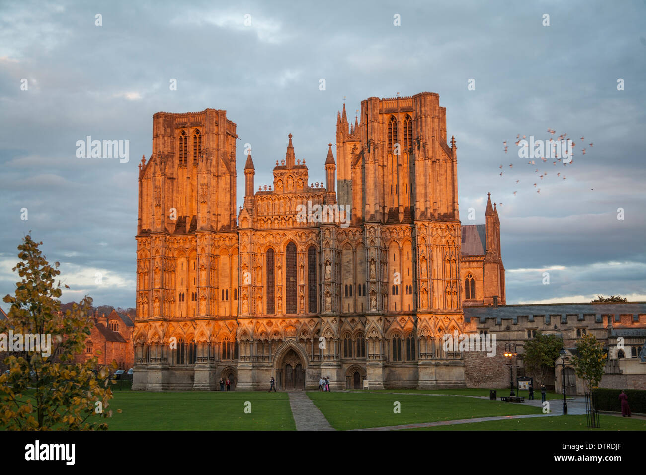 Old wells cathedral tower hi-res stock photography and images - Alamy