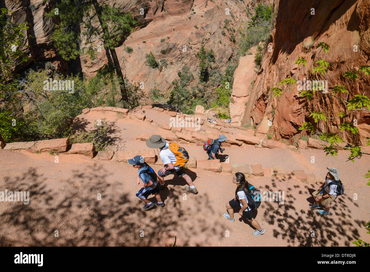 Walters Wiggles on the trail to Angels Landing, Zion National Park, Utah, USA Stock Photo