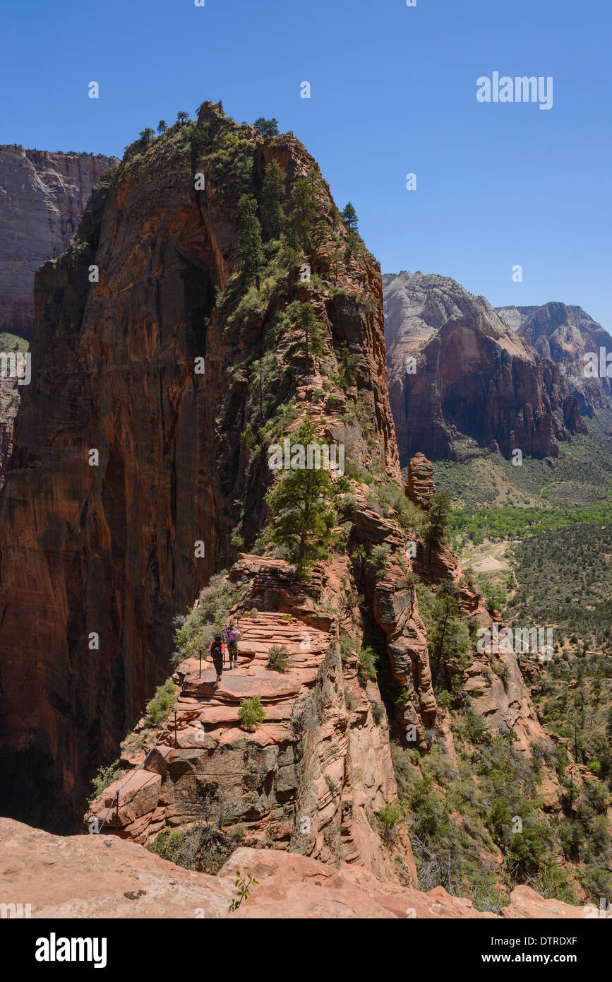Trail to Angels Landing, Zion National Park, Utah, USA Stock Photo