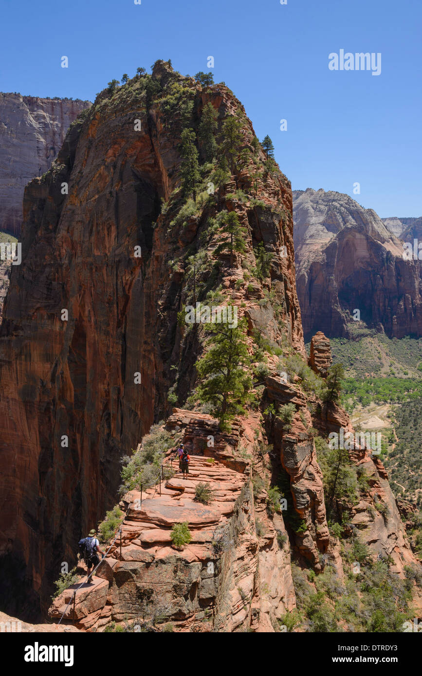 Trail to Angels Landing, Zion National Park, Utah, USA Stock Photo