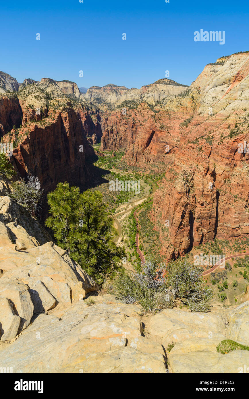 View of Zion Canyon from Angels Landing, Zion National Park, Utah, USA Stock Photo