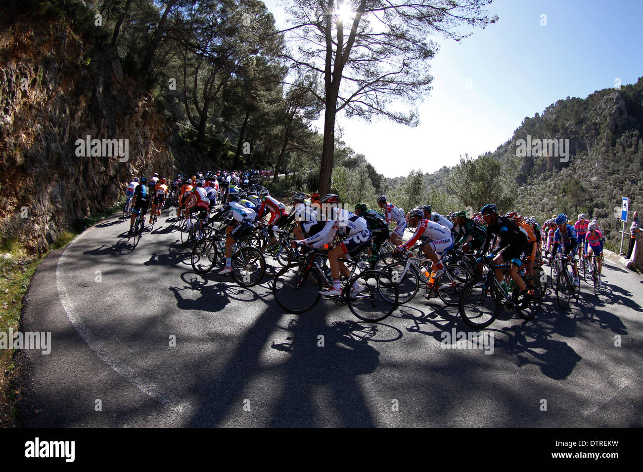 The pack of riders cycle during a stage of the Mallorca´s cycling tour in the tramuntana mountain stage, in Mallorca, Spain Stock Photo
