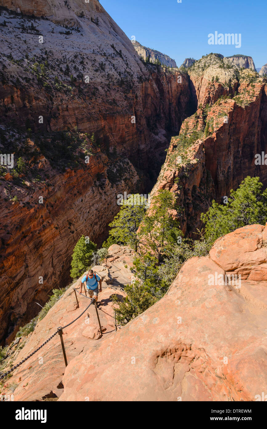 Hiker on the trail to Angels Landing, Zion National Park, Utah, USA Stock Photo