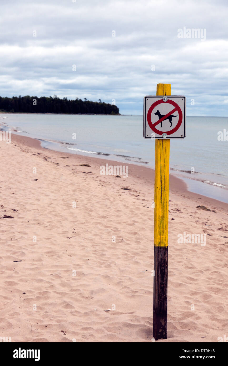 Are Dogs Banned On Beaches