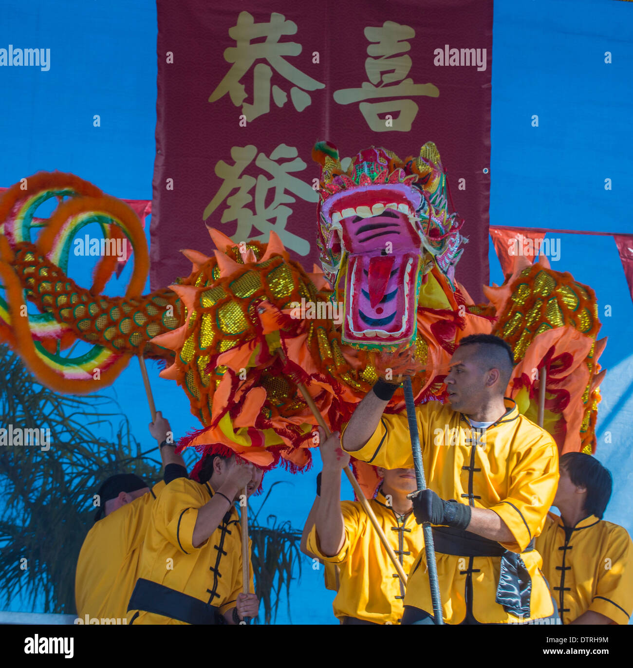 Dragon dance performers during the Chinese New Year celebrations held ...