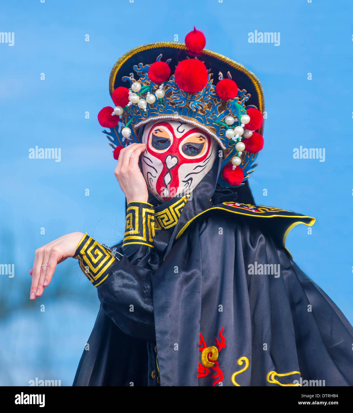 chinese new year zodiac masks