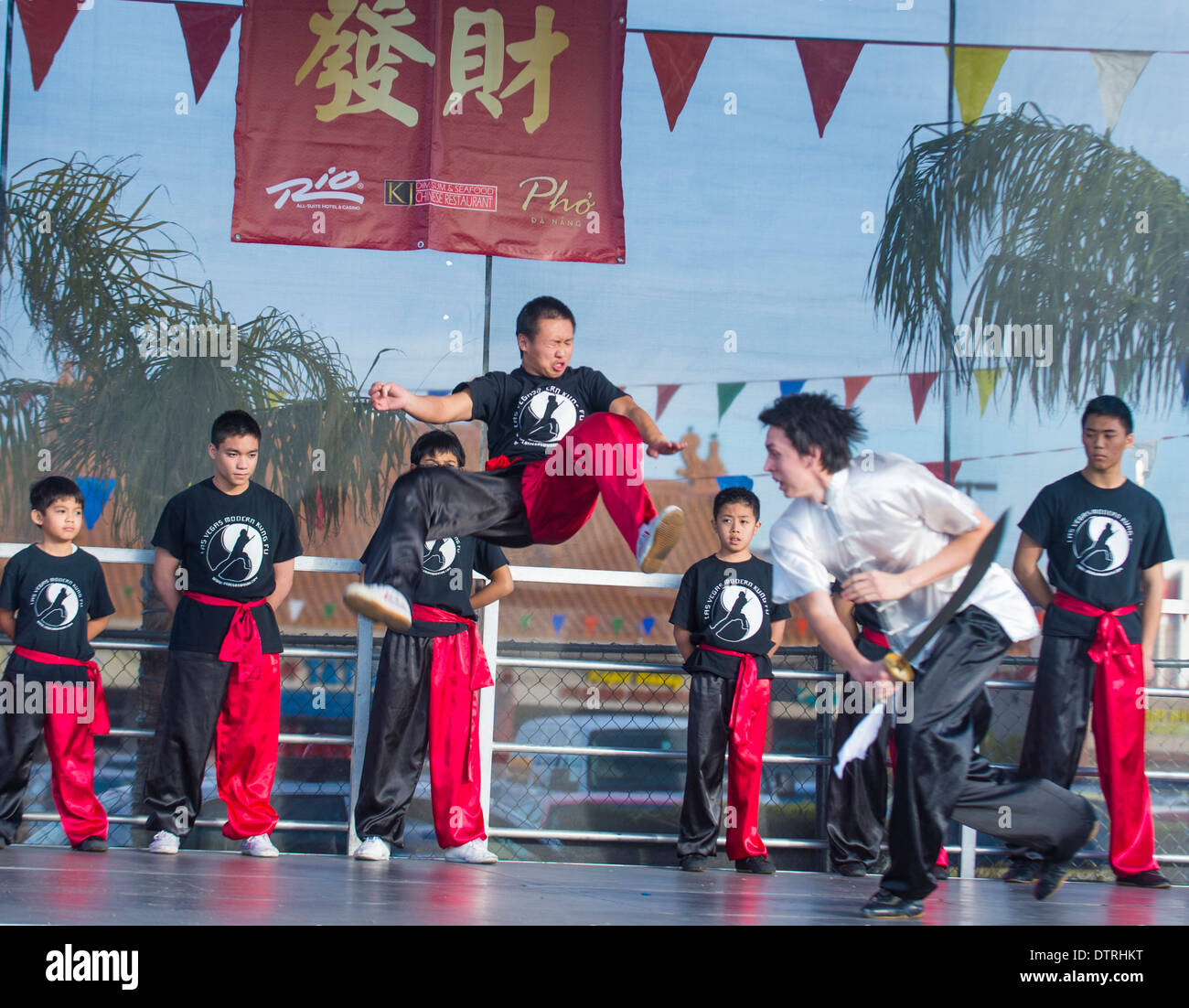 Chinese martial art performers at the Chinese New Year celebrations