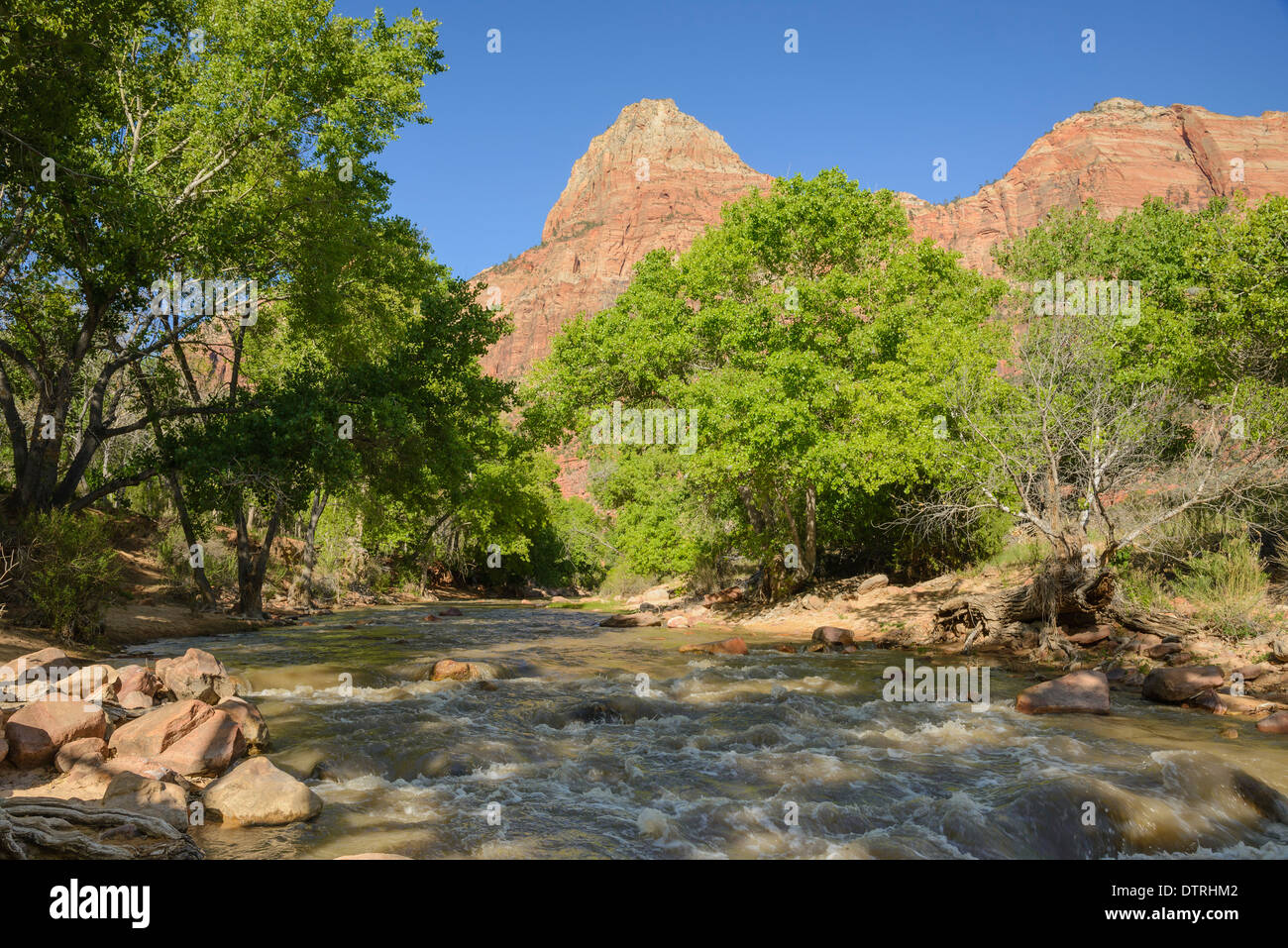 Virgin River, Zion National Park, Utah, USA Stock Photo