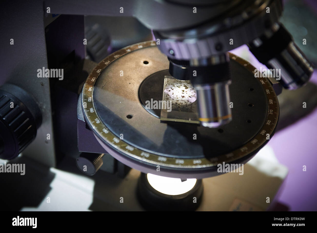 Slide under microscope, closeup Stock Photo Alamy