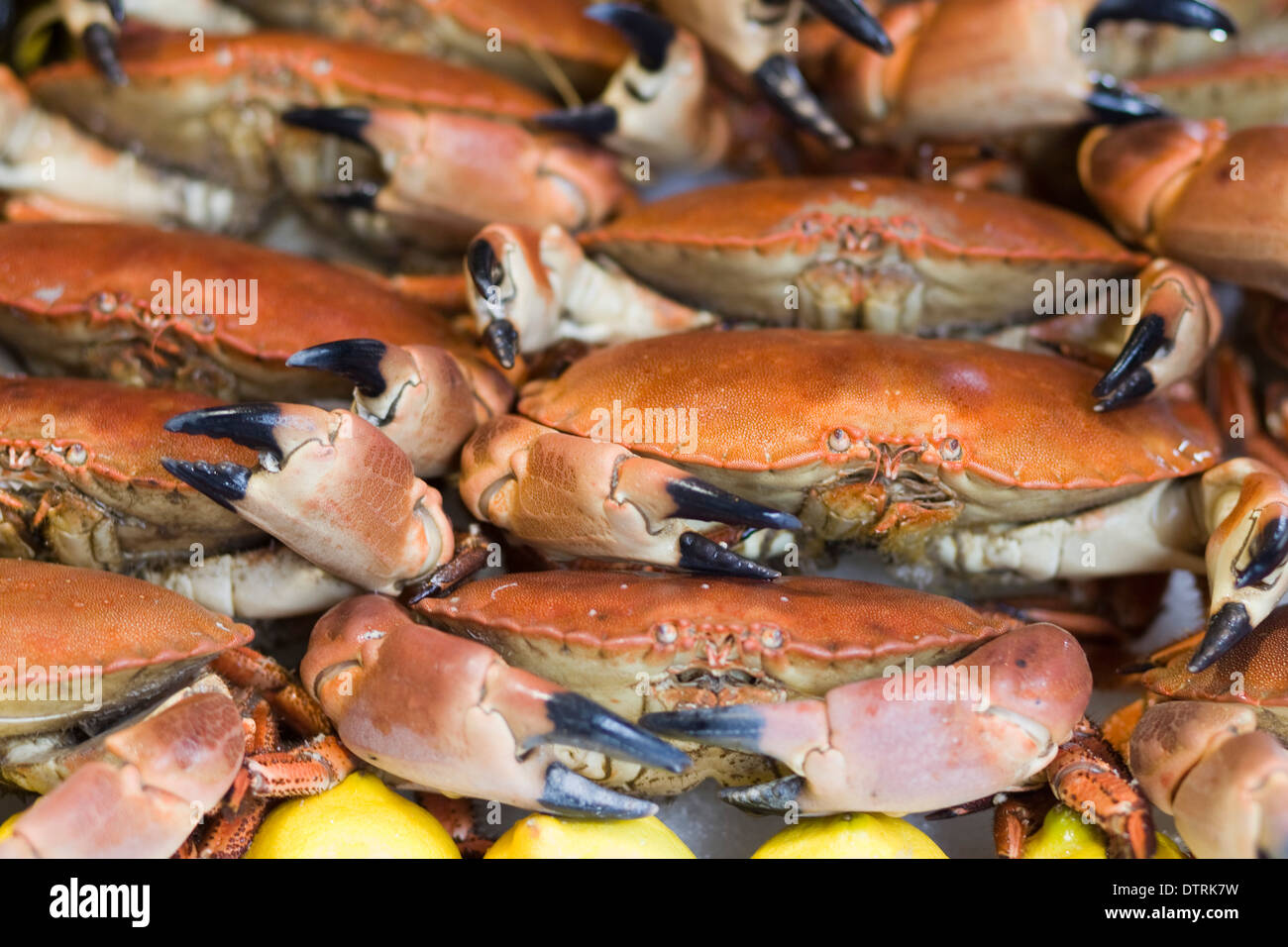 Paris fish market seafood market hi-res stock photography and images ...