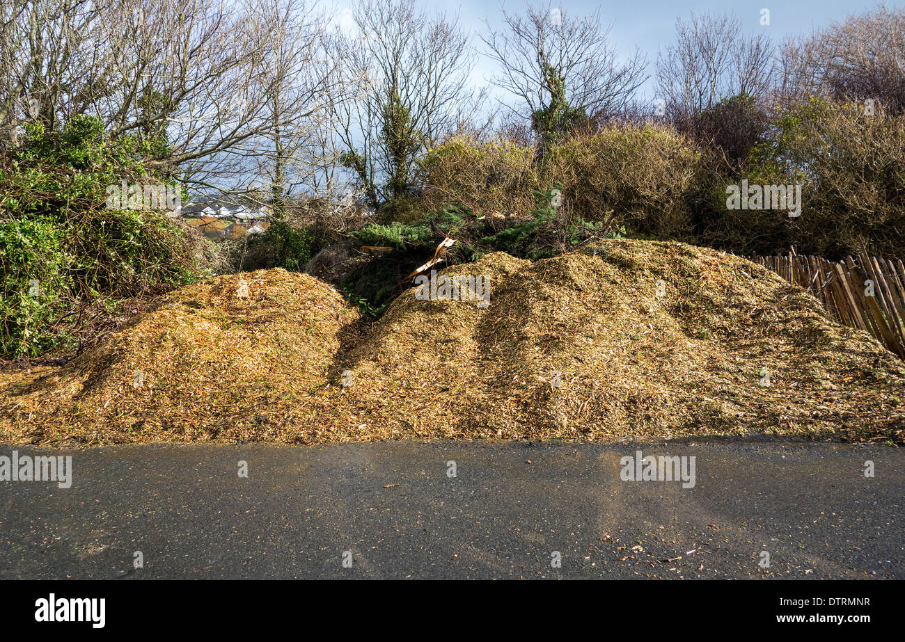 wood chippings for garden mulch Stock Photo