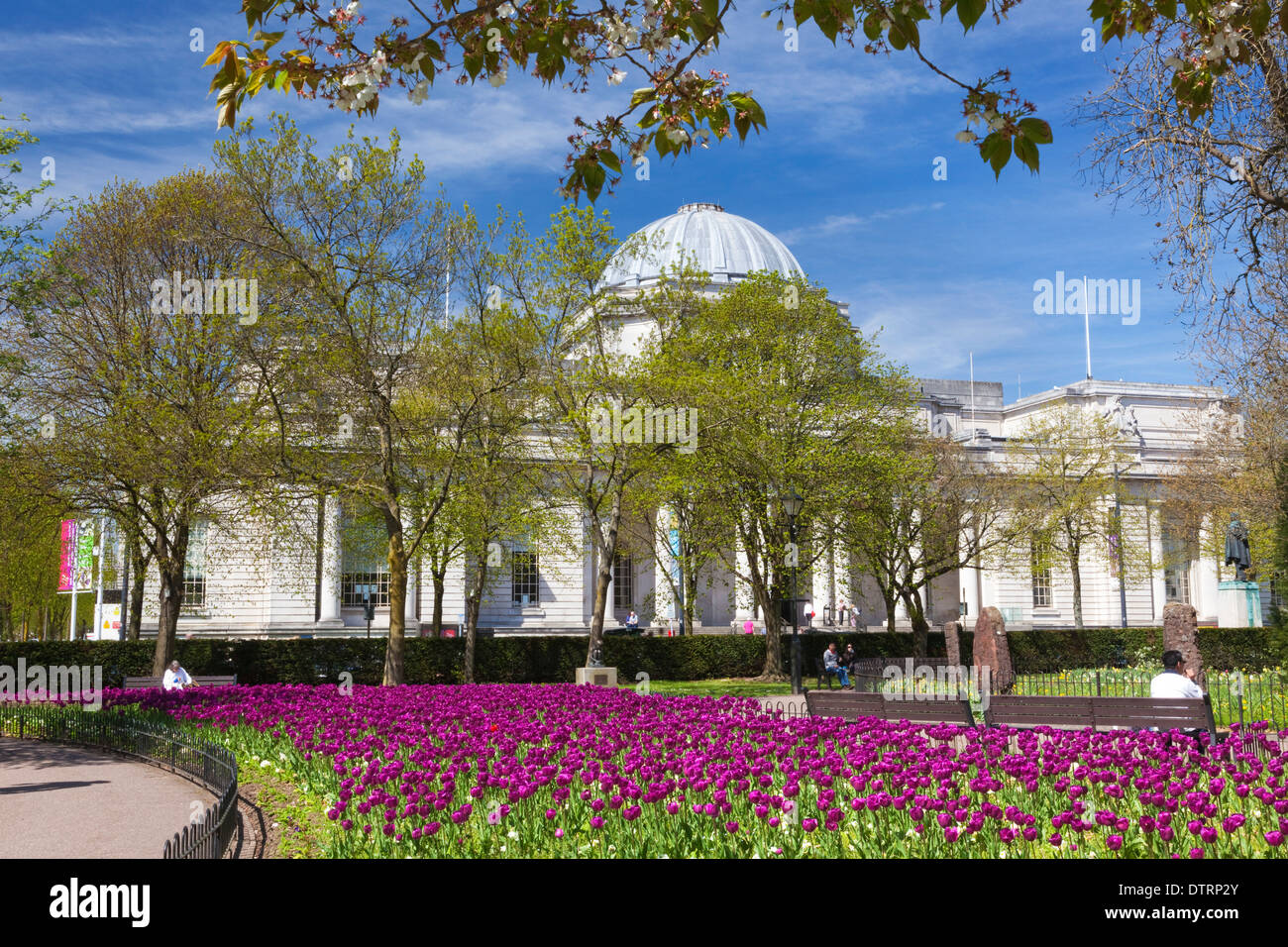 National Museum Of Wales, Cathays Park, Cardiff Wales UK Stock Photo