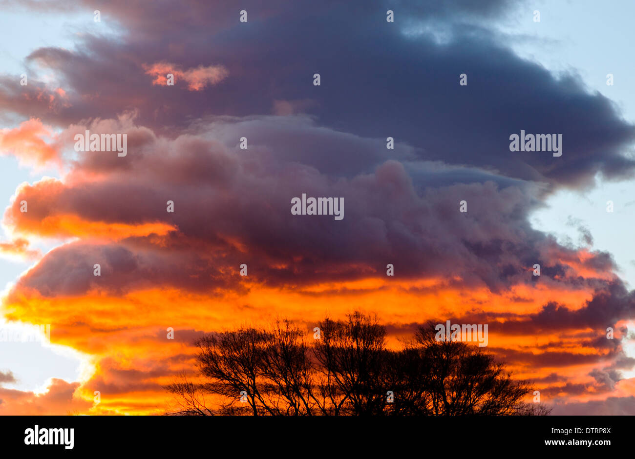 Dramatic pink and red sunset clouds over Salida, Colorado, USA Stock Photo