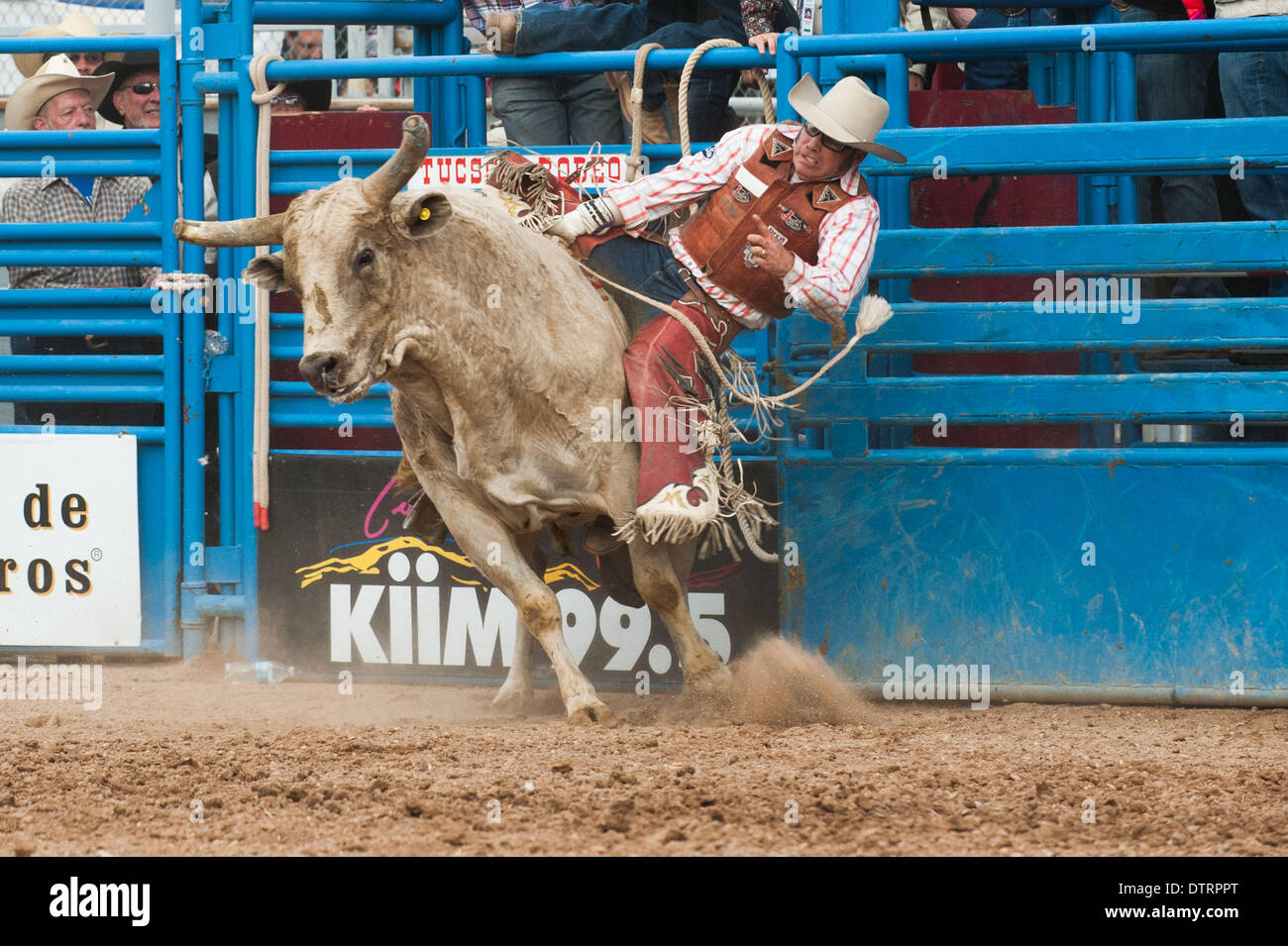 Tucson, Arizona, USA. 23rd Feb, 2014. CODY HANCOCK, of Taylor, Ariz., took the overall win in bull riding on ''Brush Hog II'' at the Fiesta de los Vaqueros in Tucson, Ariz. Not a single bull rider made the 8-second mark on the second ride, the point at which a score is recorded. mains one of the largest in the U.S. and saw record attendance of more than 60,000 people over six performances. Credit:  ZUMA Press, Inc./Alamy Live News Stock Photo