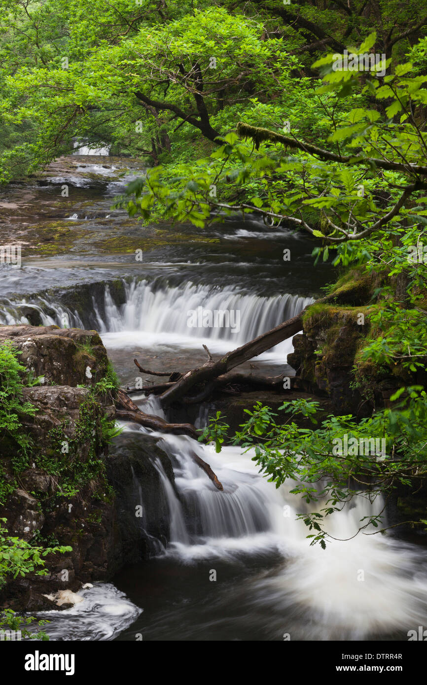 Waterfalls Brecon Beacons Wales Uk Stock Photo