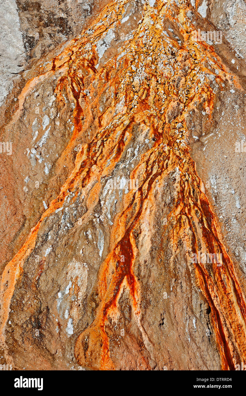 Algal-bacterial mats mineral deposits hot spring Upper Geyser Basin Yellowstone national park Wyoming USA / bacteria algae Stock Photo