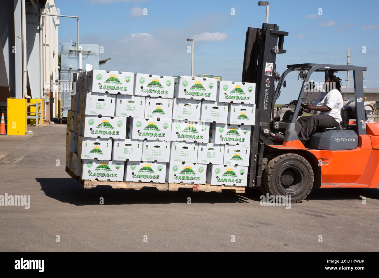 Cabbage packinghouse hires stock photography and images Alamy
