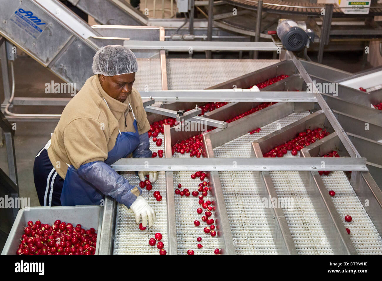 Packinghouse workers hires stock photography and images Alamy
