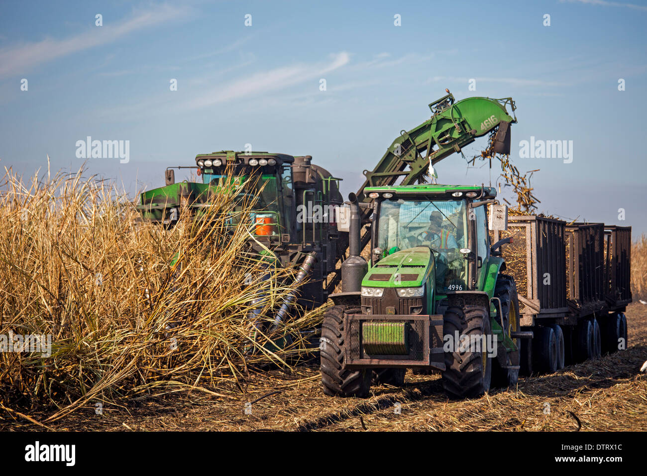Belle glade florida mechanical harvest hires stock photography and
