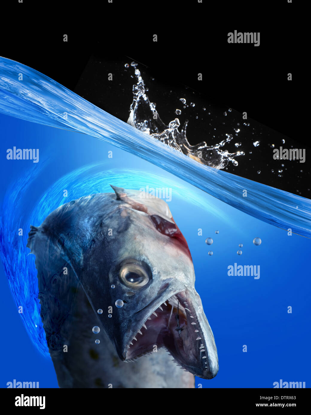 Monster fish hi-res stock photography and images - Alamy