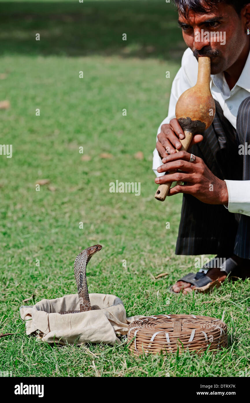 Snake charmer with Spectacled Cobra, New Delhi, India / (Naja naja) / Indian Cobra, Common Cobra, Asian Cobra, New Dehli Stock Photo