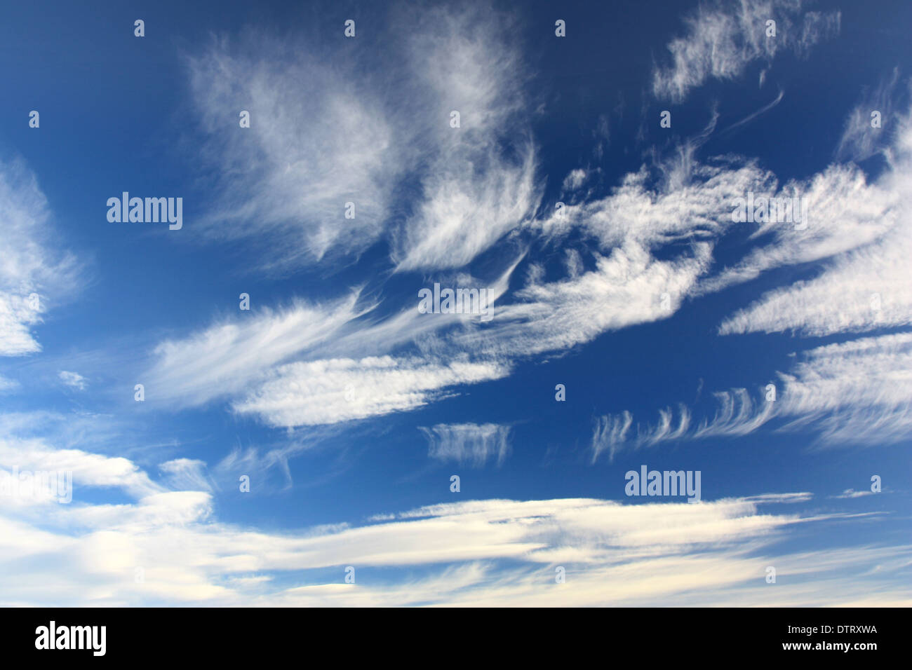 beautiful blue sky with puffy white clouds Stock Photo - Alamy