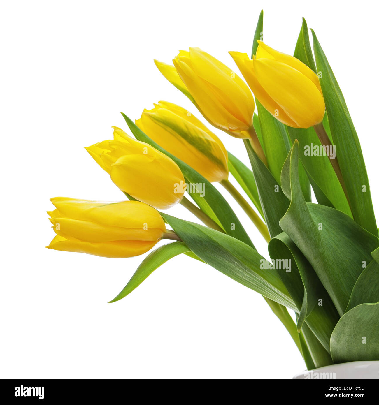 Flower bouquet from yellow tulips in vase isolated on white background ...