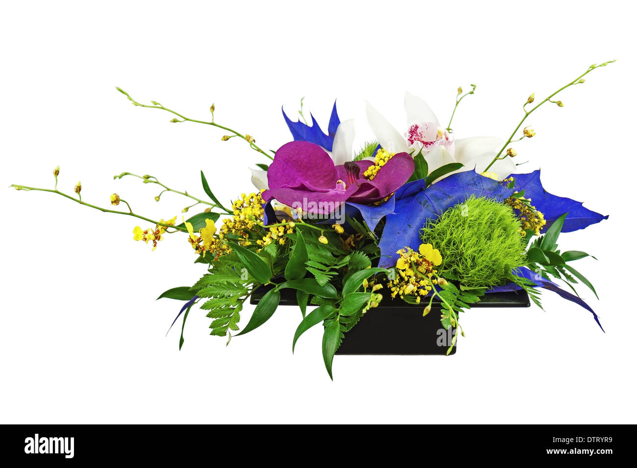 bouquet flower arrangement isolated orchids vase lilies black roses purple nature white carnation background beautiful birthday Stock Photo