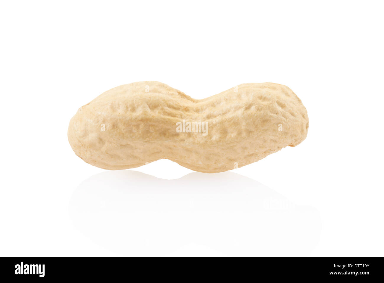 Peanut single Stock Photo