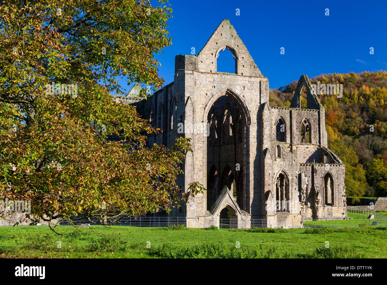 Tintern Abbey Wye Valley Monmouthshire Wales U.K. Stock Photo